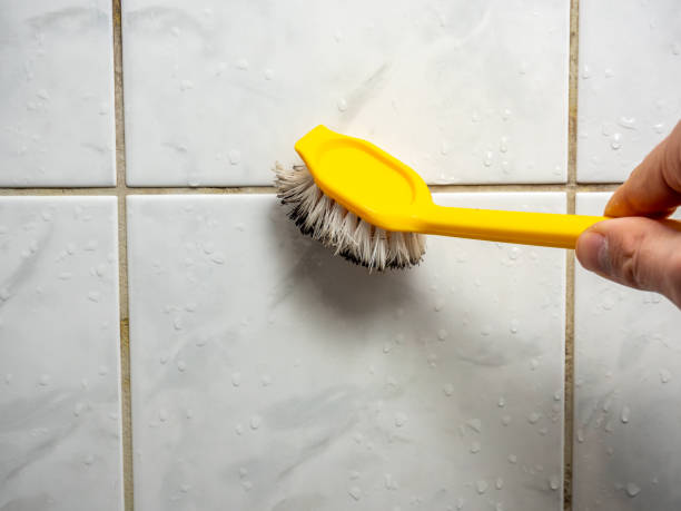 Best Mold Removal Specialists  in Barnesville, MN