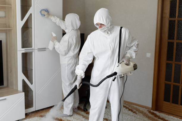 Best Fast Mold Removal  in Barnesville, MN